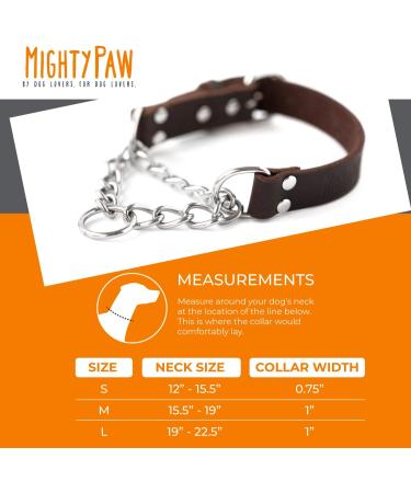 Mighty Paw Leather Martingale Dog Collar | Premium No Pull Training Collar for Dogs - Stainless Steel Chain Cinch - Large, Medium, Small - Brown - Buy Online on GoSupps.com