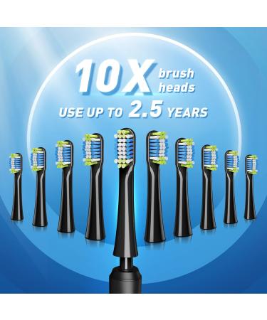 Sonic Electric Toothbrush for Adults | Rechargeable with 10 Brush Heads & Holder | 40000 VPM, 3 Modes | Fast 2 Hr Charge | Lasts 35 Days - Buy Online on GoSupps.com