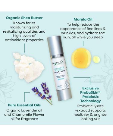 Probulin Probiotic Night Cream 1.69 oz - Rejuvenating Skincare Solution - Buy Online on GoSupps.com