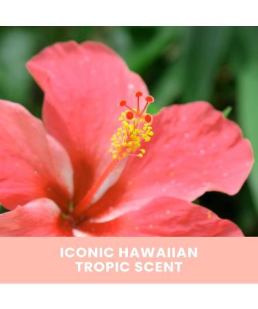 Hawaiian Tropic Aloha Glow Self-Tanning Mousse Express Tan Sunless Tanning Foam 1 Hour Express Tan 200g. - Buy Online on GoSupps.com