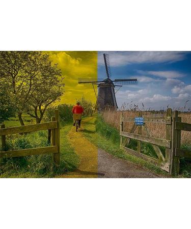 DGK Color Tools Digital Kolor Pro 16 9 Large Color Calibration and Video Chip Chart 2-Pack - Buy Online on GoSupps.com