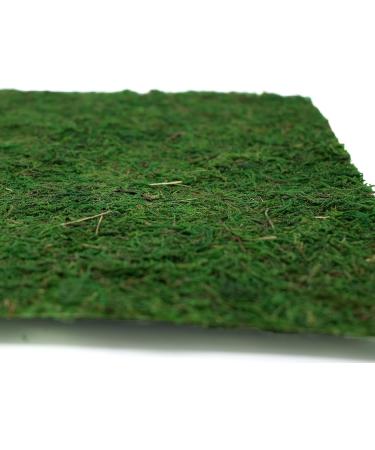 Usmola Moss Mat 11.8 Inch - Pack of 3 Dark Green Moss Mats for Woodland & Garden Party Decor - Buy Online on GoSupps.com