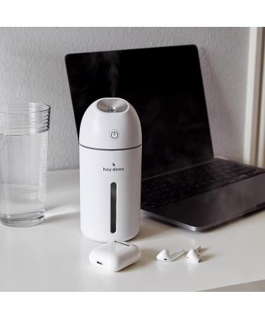 Hey Dewy Portable Facial Hydrating Cool Mist Humidifier - Wired Version - Buy Online on GoSupps.com