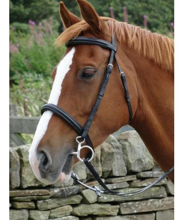 Turners Stunning Black Leather Snaffle Cavesson Horse Riding Bridle with Reins (Pony) - Buy Online on GoSupps.com