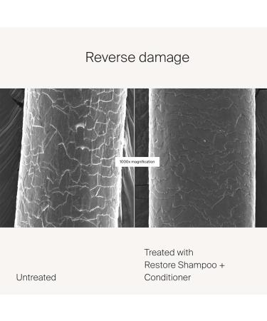 Living Proof Restore Travel Size Shampoo - Buy Online on GoSupps.com