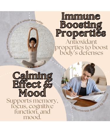 Research Labs Organic Lions Mane Supplement Capsules, 2 Fer 1 Ad - 240 Capsules w/Patent Litropane Immune System Booster Nootropic Brain Support Mushroom Supplement. 10X Extract comparable 18000mg - Buy Online on GoSupps.com