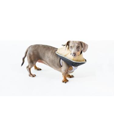Shop All Four Paws Comfy Cone Pet Collar - Small Skin-Tone | Best for Recovery & Comfort - International Shipping Available - Buy Online on GoSupps.com