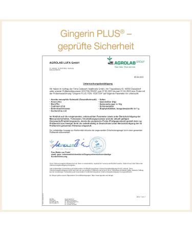 Buy Organic Ginger Capsules - High Dose Ginger Extract with Gingerol & Shogaol - 60 Pharmaceutical Quality Pieces - International Shipping Available - Buy Online on GoSupps.com