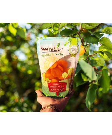 Dried Apricots 1lb - Kosher & Vegan - Product of Turkey - Bulk Purchase - Buy Online on GoSupps.com