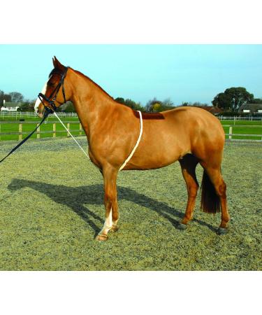 Rhinegold Soft Lunge Aid White