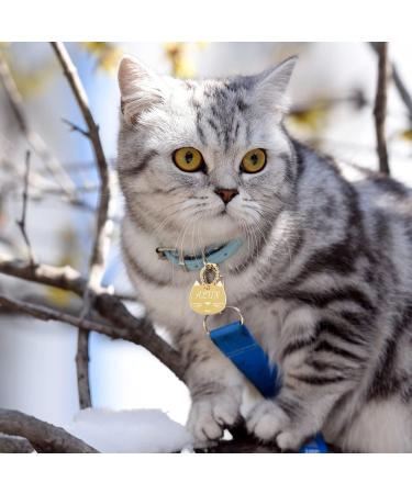 Personalizable Silver Cat Tags with Engraving - Cute Cat Face Pendant by CAMAL | International Shipping - Buy Online on GoSupps.com
