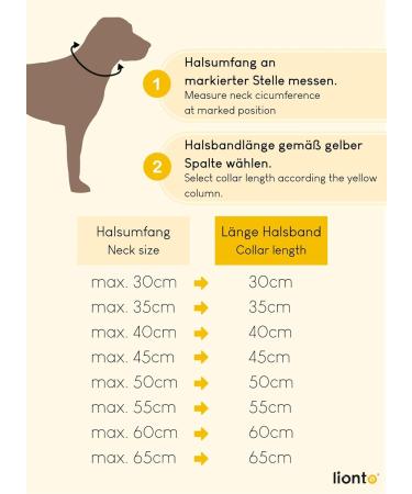 Buy Lionto Dog Collar - Black Retriever Training Collar (60 cm 1 cm Thick) | Durable & Comfortable - Buy Online on GoSupps.com