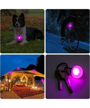 2 Clip On Light Up Dog Collar with Carabiner Dog Collar Waterproof Dog Pet Lights Safety Night Walking Running Lights Glowing Dog Collar with 3 Modes Flashing for Small Medium Large Dog Pink - Buy Online on GoSupps.com