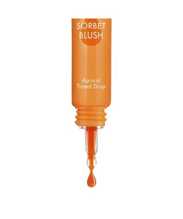 Bourjois Healthy Mix Sorbet Blush 02 Apricot | Buy Online | International Shipping Available - Buy Online on GoSupps.com