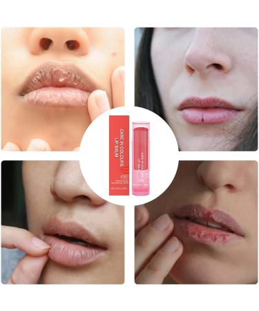 Moisturizing Lip Balm 5 Gram Nourishing and Hydrating Cream Lip Balms and Moisturizers | To Brighten and Repair Cracks Fissures and Peeling For Women and - Buy Online on GoSupps.com