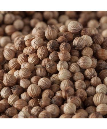 Bremer Gew rzhandel Whole Coriander Seeds - 75g for Cooking & Baking | Premium Quality Spice - Buy Online on GoSupps.com