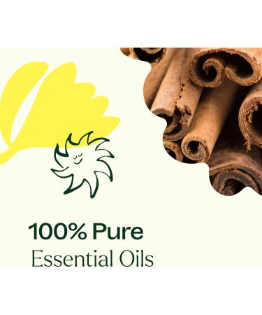 Plant Therapy Germ Fighter Essential Oil Blend Pure Natural Aromatherapy for Diffusion & Topical Use DIY Multi-Surface Cleaner Hand Cleanser Home or Office Use Therapeutic Grade 10 mL (1/3 oz) - Buy Online on GoSupps.com