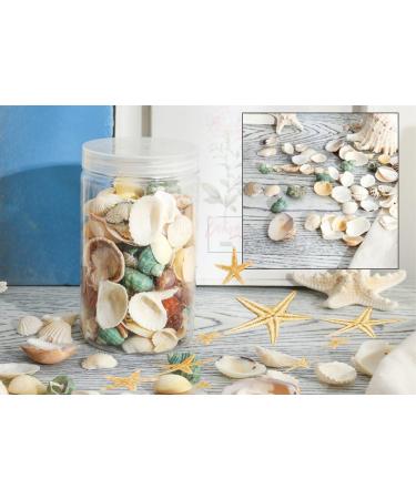 70+ pcs Famoby Sea Shells & Starfish for DIY Crafts & Beach Theme Decor - Buy Online on GoSupps.com