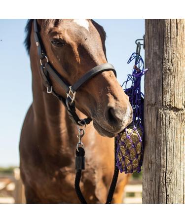 Equilibrium Vitamunch Marvellous Meadow 1Kg - Horse Snack/Treat 1 kg (Pack of 1) Marvellous Meadow - Buy Online on GoSupps.com