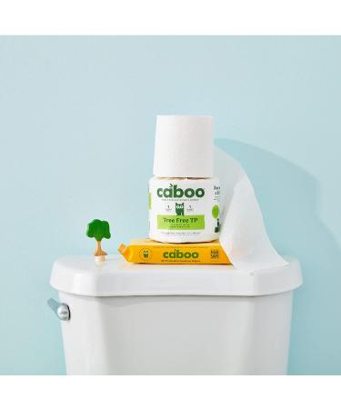 Caboo Bamboo Flushable Wipes 60 Ct Travel Packs (Pack of 3) | Eco-Friendly & Biodegradable | Septic Safe & Certified Flushable | for Adults & Kids - Buy Online on GoSupps.com