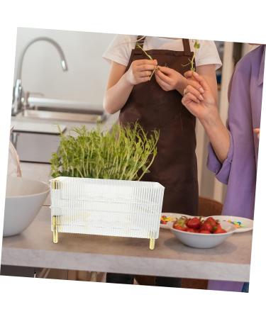 CORHAD Egg Preservation Tray Box Eggs Egg Holder for Fridge Plastic Serving Trays Refrigerator Egg Rack Dog Crisper re-usable - Buy Online on GoSupps.com