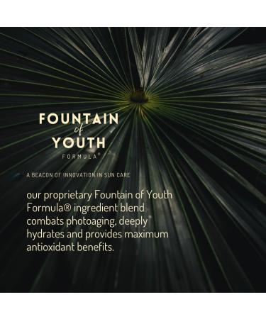 Natural Mineral Sunscreen SPF 30 for Face & Body – No White Cast Zinc Oxide, Lightweight, Reef-Safe Hydrating Daily Moisturizer – Korean Formulated Skin Care - Buy Online on GoSupps.com