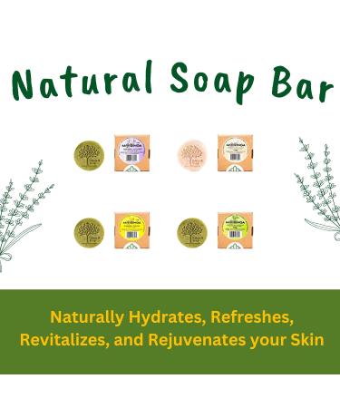 Organic Moringa Soap Bar for Gentle Body Wash | Improve Skin with Moringa Seed Oil | Acne-Fighting Hand Soap for Men & Women | Pack of 5 - Buy Online on GoSupps.com