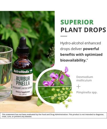 NutraMedix Burbur-Pinella 2 fl oz - Detox Support & Wellness Supplement - Buy Online on GoSupps.com