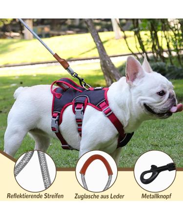 Multi-Purpose Dog Harness & Leash Set | Outbreak-Proof Anti-Train Harness for Small & Medium Dogs - Beige - Buy Online on GoSupps.com