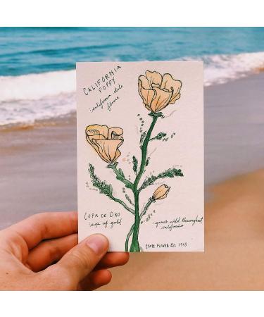 100 Sheet 140lb Blank Watercolor Paper Cards - 4x6 Inch Heavyweight Watercolor Cardstock for Painting, Invitations, Thank You Notes - Art Supply for Kids and Students - Buy Online on GoSupps.com