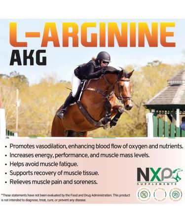 NXP Supplements L-Arginine AKG - Boosts Performance Muscle Energy & Recovery Nitric Oxide Booster Vasodilation Nutrient Flow Support Supplement for Horses - 1 lb / 45 Servings - Buy Online on GoSupps.com