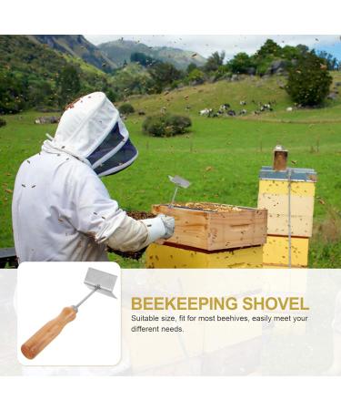 Ipetboom Beehive Shovel Clean Wax Honeycomb Scraper Partition Steel for Uncapping Tool Supplies King Honey Beekeeping - Buy Online on GoSupps.com