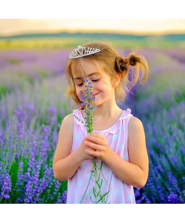 Otuuz 32-Piece Girls Crystal Tiara Crown Set - Rhinestone Headband for Wedding, Prom, Birthday Party - Silver Heart Crown - Hair Jewelry - Buy Online on GoSupps.com