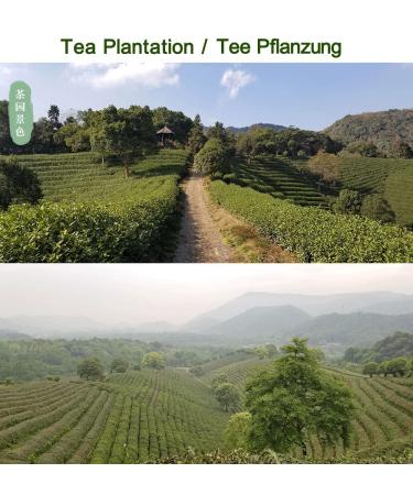 Dragon Well Longjing Tea - Fresh Green Tea Leaves 250g | Direct from Farmers Pre-Grain Rain Quality - Buy Online on GoSupps.com