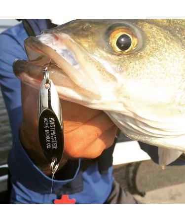 Acme Kastmaster Fishing Lure 1/4 oz. Gold - Balanced & Aerodynamic for Long Casts, Wild Action & No Line Twist - Buy Online on GoSupps.com
