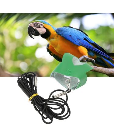 Bird Flight Harness Vest with Leash: Breathable Parrot Suit for Parakeets, Cockatiels, Conures, Budgies (Medium) - Buy Online on GoSupps.com