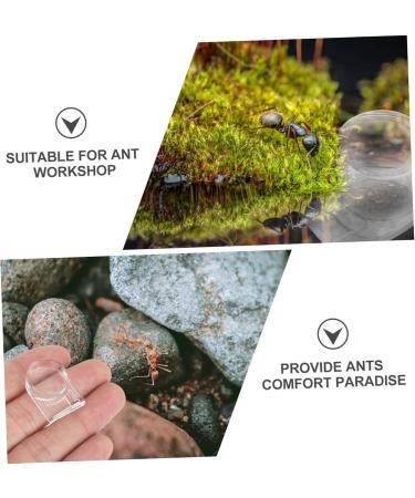 VILLCASE 4 Pcs Ant Water Feeder Mini Water Dispenser Ant Drinking Tools Ant Water Drinking Bowl Pet Ant Nest 4x4cmx2pcs Transparent Colorx2pcs - Buy Online on GoSupps.com