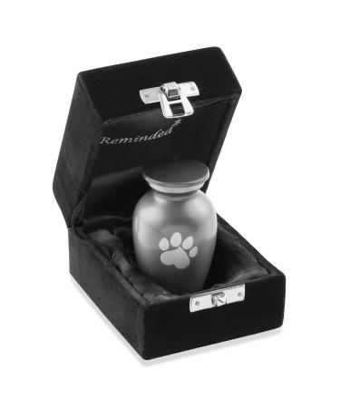 Reminded Pet Cremation Urns for Dog and Cat Ashes, Memorial Paw Print Urn X-Small Gray