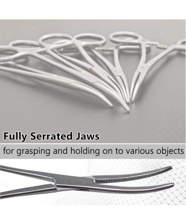 Multipurpose Long Hemostat Forceps with Fully Serrated Jaws Rochester Pean Comes in Stainless Steel for Holding Objects Feeding Reptiles Mechanical Repairs & other Outdoor Activities - 10" CURVED - Buy Online on GoSupps.com