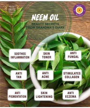 Deve Herbes Pure Neem Oil Azadirachta indica 100 Natural Therapeutic Grade Cold Pressed 15ml - Buy Online on GoSupps.com