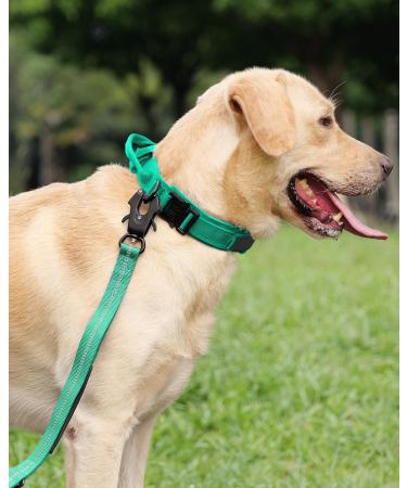 Joytale Tactical Dog Collar | Durable Dog Collar with Handle for Large Dogs | XL Turquoise with QR Code Dog Tag - International Shipping Available - Buy Online on GoSupps.com