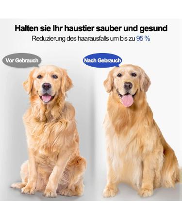 3-Piece Stainless Steel Flea & Lice Comb Set for Dogs & Cats | Pet Care Tools for Effective Tear Stain Removal - Blue - Buy Online on GoSupps.com