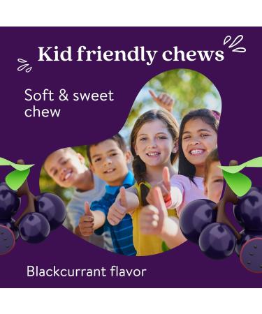 Active Iron Family Bundle Gentle Highly Absorbed Iron for Women & Kids | Non-Constipating Iron + Women s Multivitamin & Kids Iron + Vitamin D | Energy Immunity & Growth Support - Buy Online on GoSupps.com