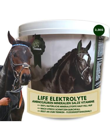 Electrolyte powder plus amino acids for horses i 100% naturally i electrolyte powder with vitamins amino energy magnesium i hydrates to support performance & regeneration after sports training 2.5kg
