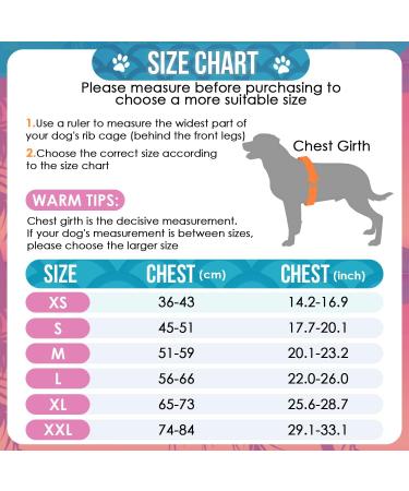 Eyein Shark Dog Life Jacket - Buoyant Pet Vest for Swimming, Boating, and Safety - Blue (M) - Chest Girth 51-59cm - Buy Online on GoSupps.com