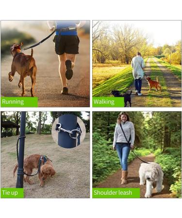 Hands Free Dog Lead for Running Walking Training Hiking Dual-Handle Shock Absorbing Reflective Bungee Adjustable Waist Belt and Pouch Ideal for Medium to Large Dogs(Black/Green) - Buy Online on GoSupps.com