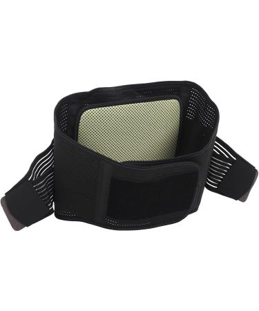 Alomejor XL Waist Support Belt - Steel Plate Lumbar Support with Double Compression & Hot Pads for Training - Buy Online on GoSupps.com