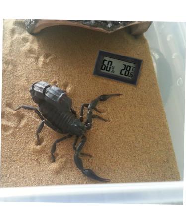 BESPORTBLE 2pcs Reptile Temperature and Humidity Meter Black 4.5X2.5cm - Buy Online on GoSupps.com