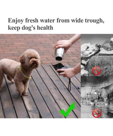 Vivaglory 750ml Stainless Steel Dog Water Bottle | Portable & Leak-proof Pet Drinking Container for Hiking & Walking - Buy Online on GoSupps.com