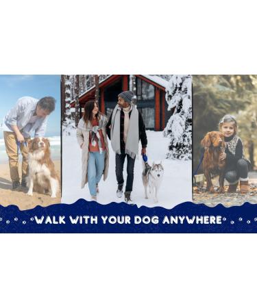 Strong Nylon Dog Leash - Loutep 3m 5m 10m 15m 20m Towline with Padded Handle - Blue - Buy Online on GoSupps.com